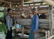 Bhabinkamtibmas Desa Padamulya Kunjungi Peternak Kambing, Berikan Dukungan terhadap Program Ketahanan Pangan