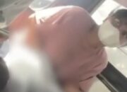Viral di Medsos: Pria di Angkot Muncul-Kalideres Lakukan Tindakan Tidak Senonoh