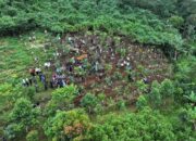 Pemkab Bogor Tanam Pohon 220 Hektare, Perkuat Resapan dan Cegah Bencana