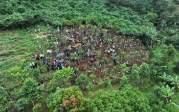 Pemkab Bogor Tanam Pohon 220 Hektare, Perkuat Resapan dan Cegah Bencana