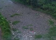 Masyarakat Diimbau Tidak Buang Sampah ke Sungai
