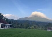 Bukan Sekadar Sawah, Cimanuk Adalah Lukisan Alam Pandeglang yang Hidup di Pagi Hari