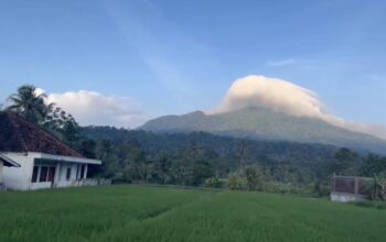 Bukan Sekadar Sawah, Cimanuk Adalah Lukisan Alam Pandeglang yang Hidup di Pagi Hari