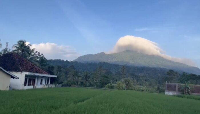 Bukan Sekadar Sawah, Cimanuk Adalah Lukisan Alam Pandeglang yang Hidup di Pagi Hari