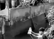 Geger Pagi Hari di Graha Panam Permai: Sosok Jasad Bayi Perempuan Ditemukan Mengapung di Parit