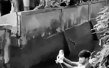 Geger Pagi Hari di Graha Panam Permai: Sosok Jasad Bayi Perempuan Ditemukan Mengapung di Parit