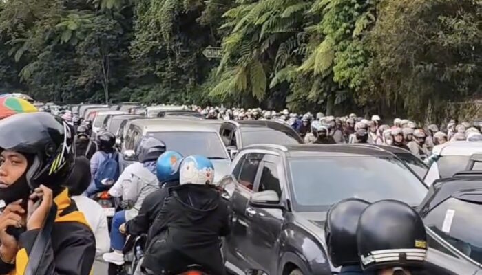 Jalur Puncak Bogor Lumpuh Total, Arus Lalu Lintas di Sekitar Kawasan Gunung Mas Tak Bergerak