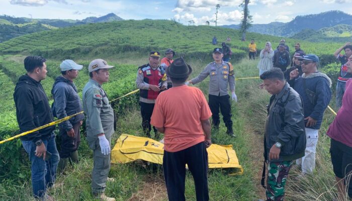 Penemuan Jasad Pria di Perkebunan Sukanagara Cianjur, Polisi Temukan Senjata Api Rakitan