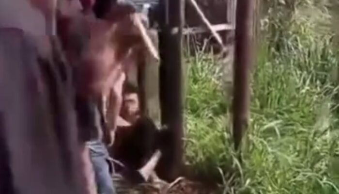 Insiden Kabel Wi-Fi di Ciseeng: Empat Teknisi Tersengat Listrik saat Bertugas