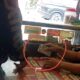 Kios Berkedok Konter HP di Jalan Raya Pangkalan Diduga Bandel, Tramadol Kembali Dijual